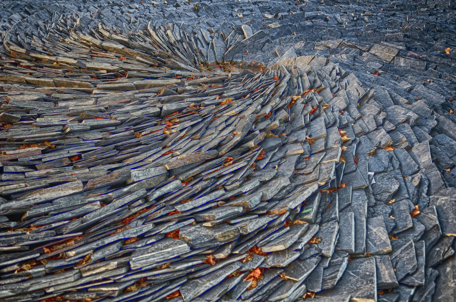 schist soil