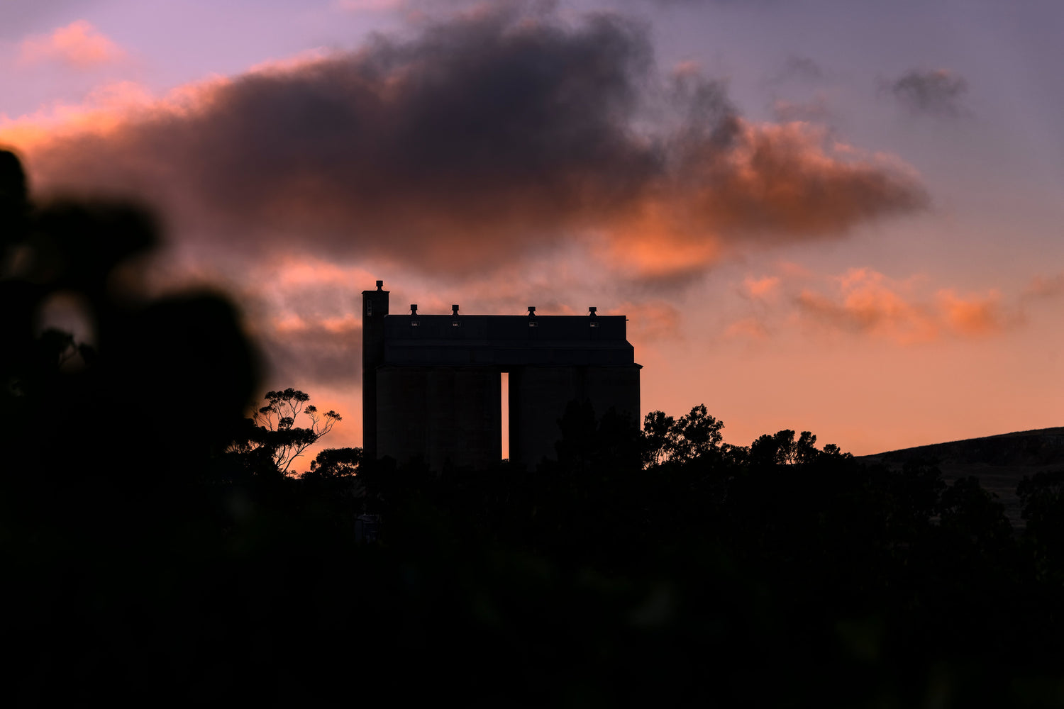 Bulman Wines