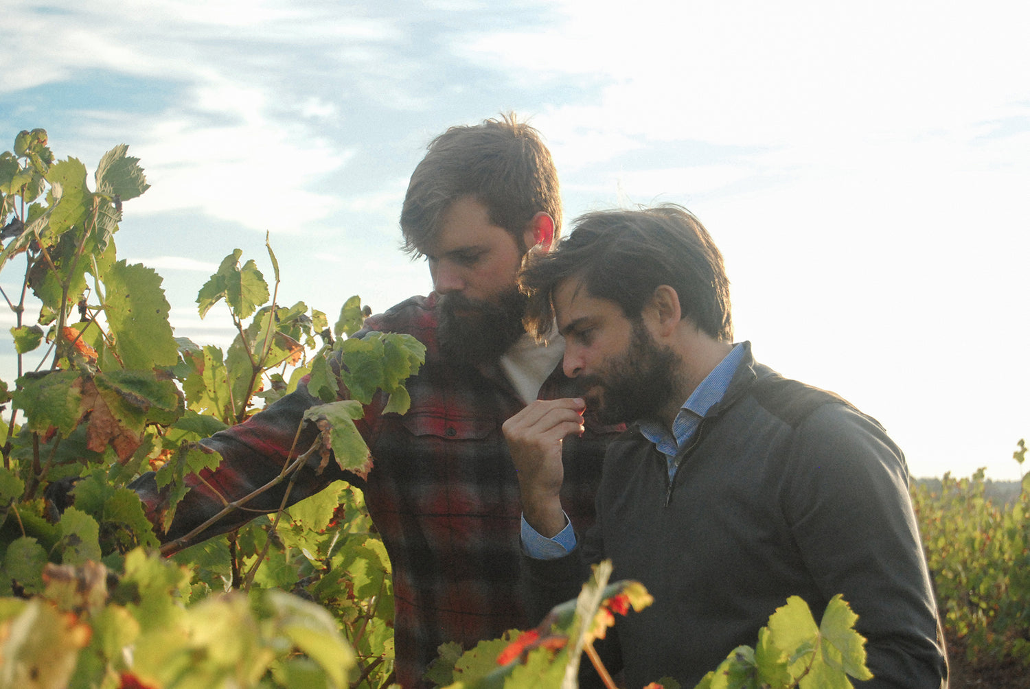 L'Enclos de Peralba