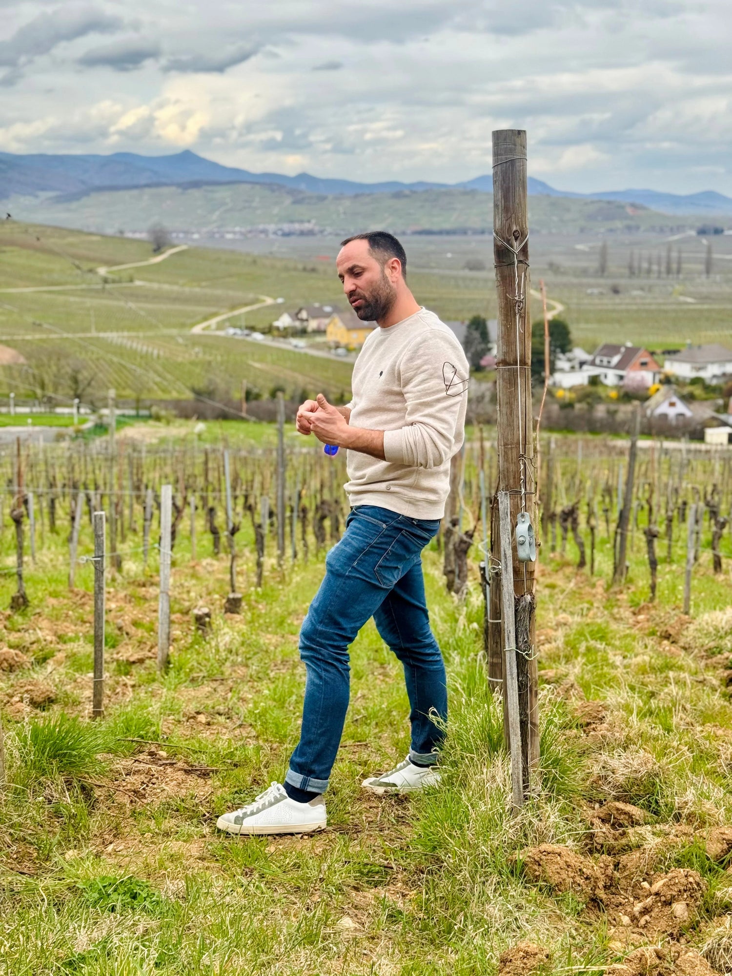 Domaine MANN