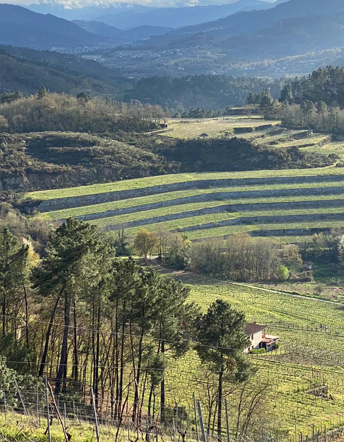 Coto do Gomariz