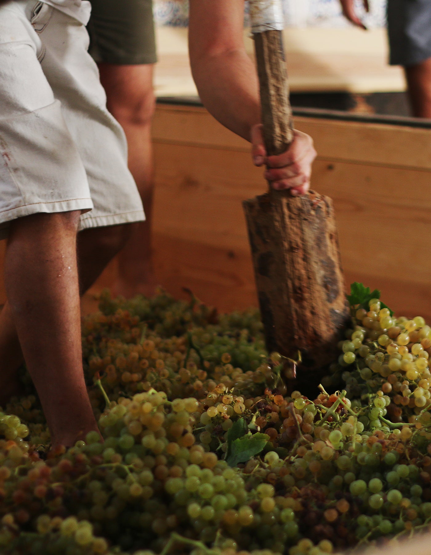 Bodegas Luis Perez