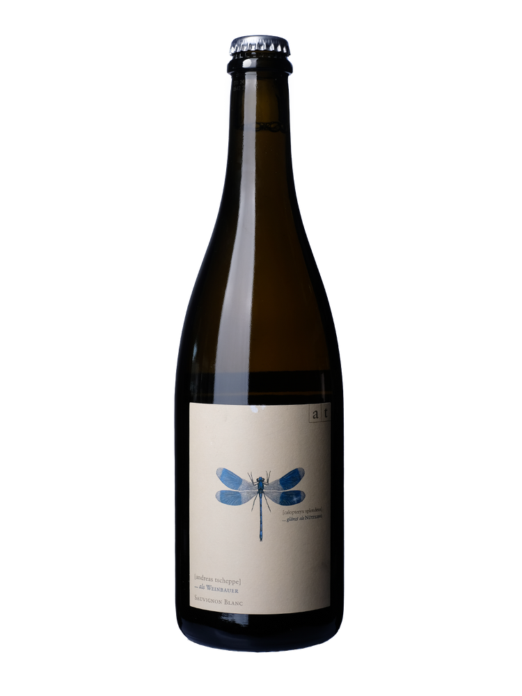 Andreas Tscheppe, Blue Dragonfly Plus, 2022
