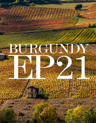 Burgundy 2021: Summarising a difficult vintage with incredible promise