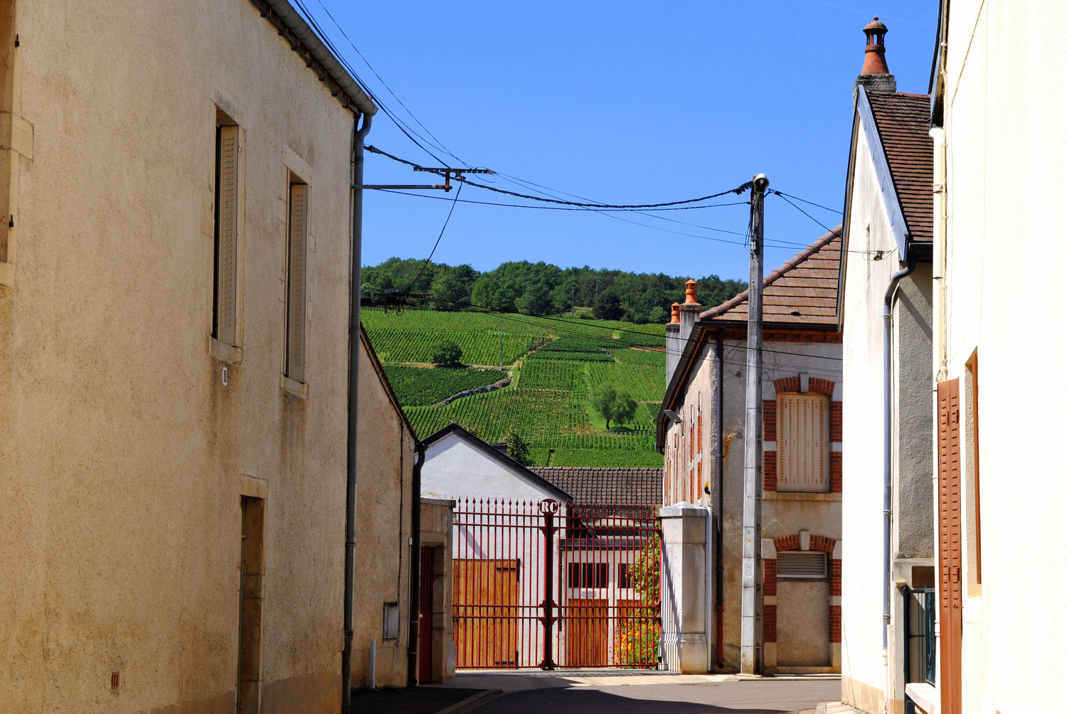 Learn About Burgundy, from Jamie Goode