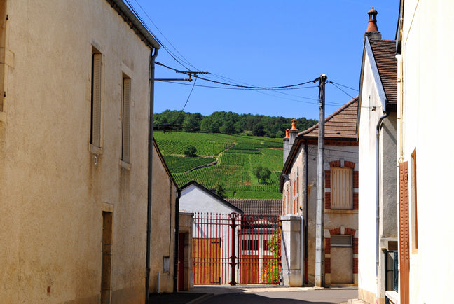Learn About Burgundy, from Jamie Goode