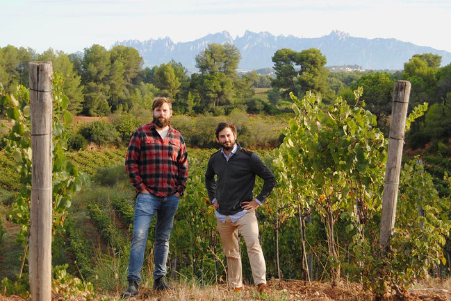 L’Enclòs de Peralba: Redefining Penedès