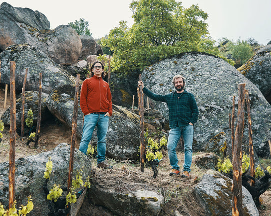 Unearthing terroir: Granite