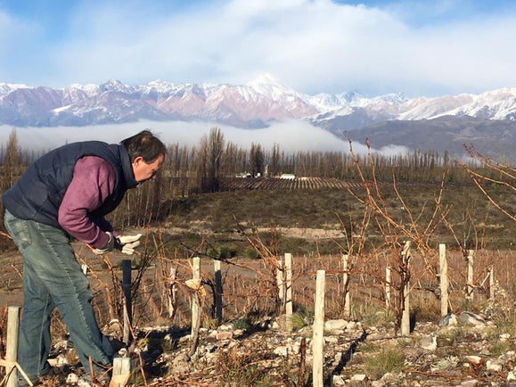 A Sense of Place: The Remarkable Argentinian Malbec of Per Se