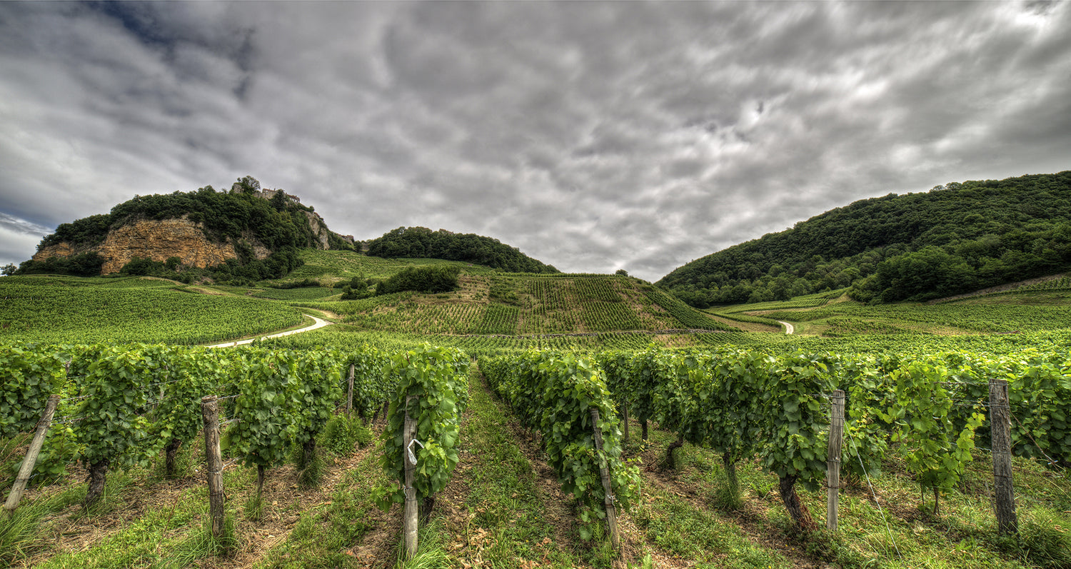 Spotlight On French Wine Regions Jura And Savoie