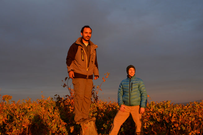 Jamie Goode reports on Itata, Chile's old vine treasure trove.