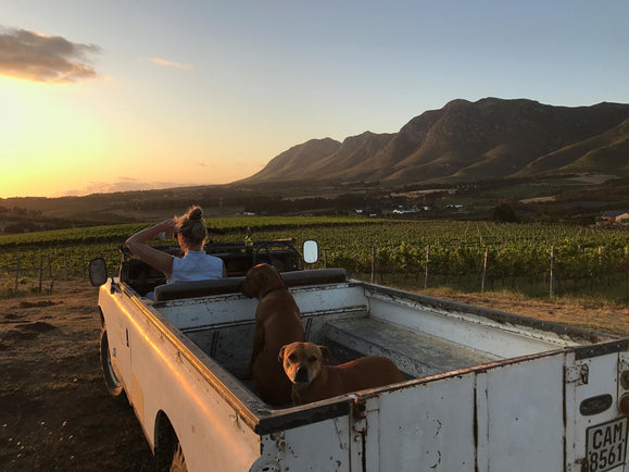 The Remarkable Wines of Restless River