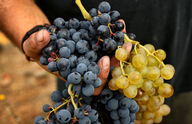 Re-defining Fine Wine