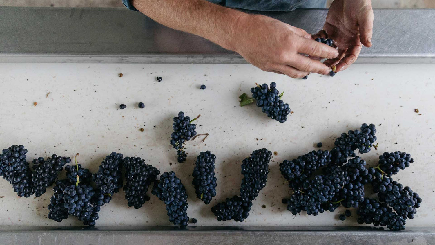 Clarifying the Vegan Wine Debate