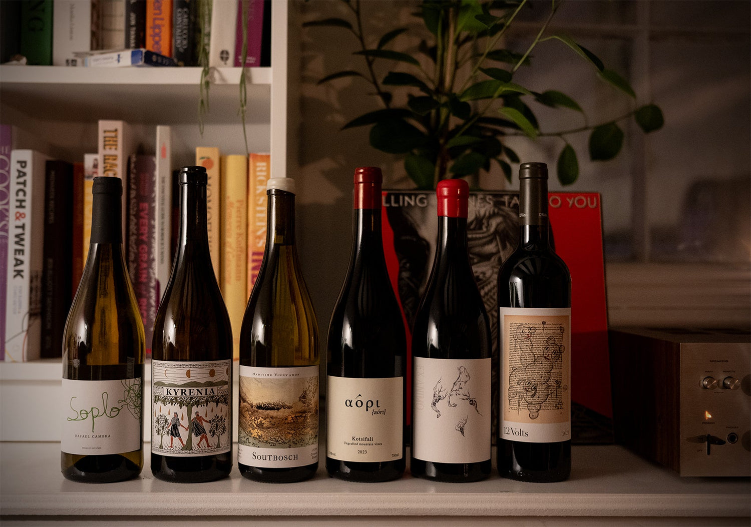 Wine Club Edition #23