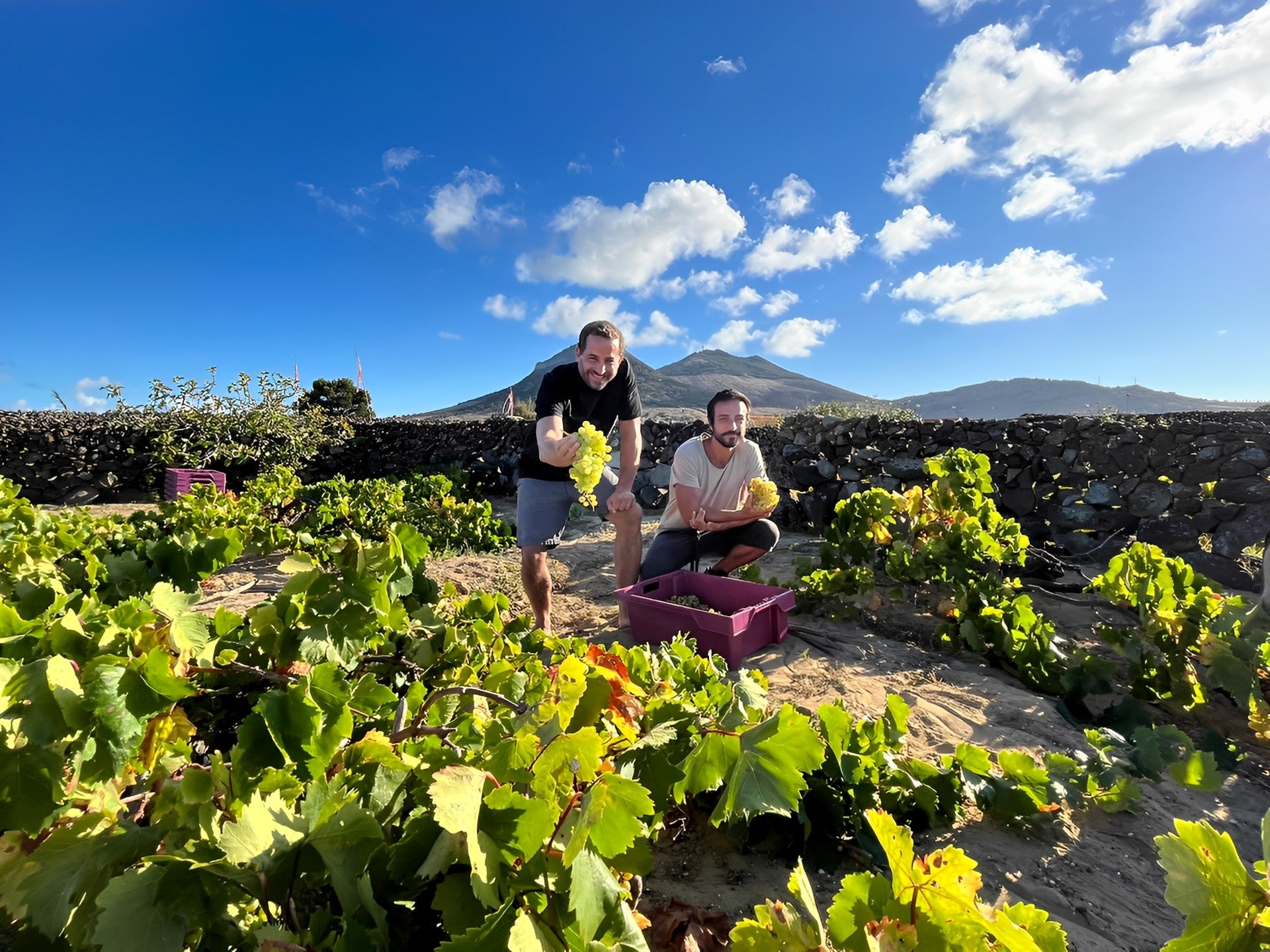The Sourcing Table Ant nio Ma anita The Sourcing Table the-sourcing-table-ant-nio-ma-anita-the-sourcing-table