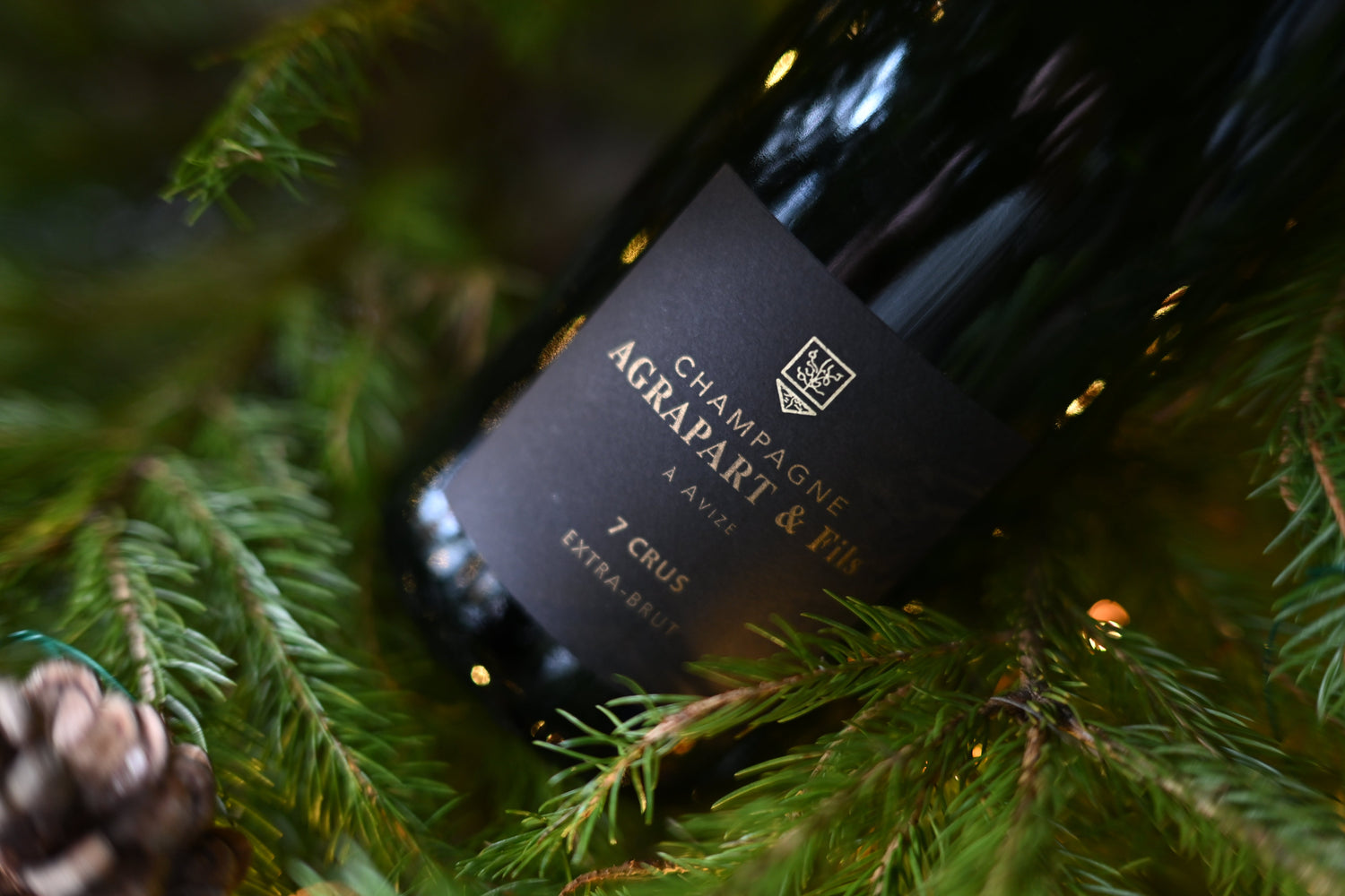 The Christmas Gift Edit