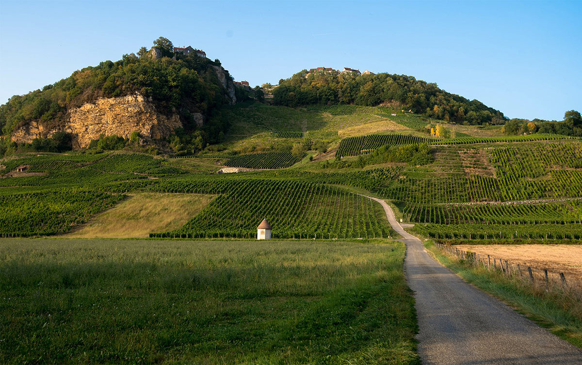 The Sourcing Table | Anne & Jean-Francois Ganevat – The Sourcing Table