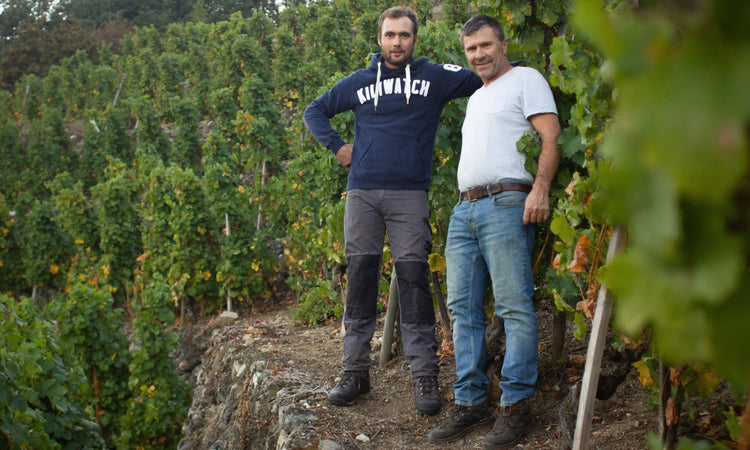 Domaine Francois Merlin