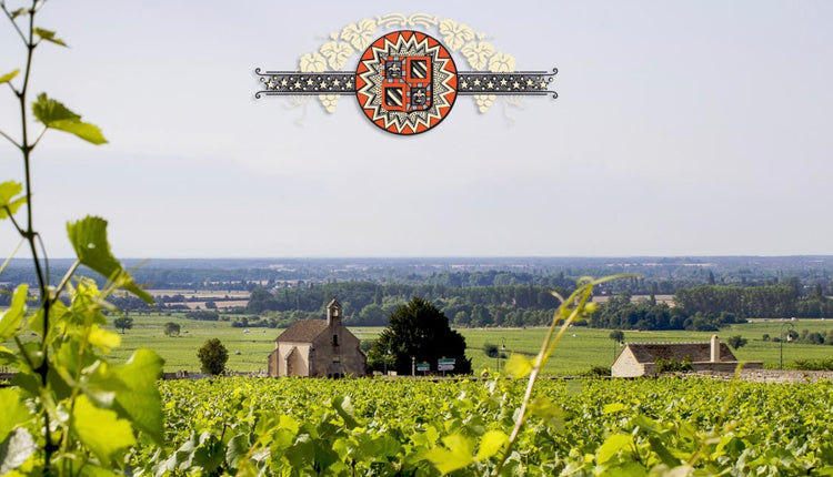 Domaine Michel Lafarge