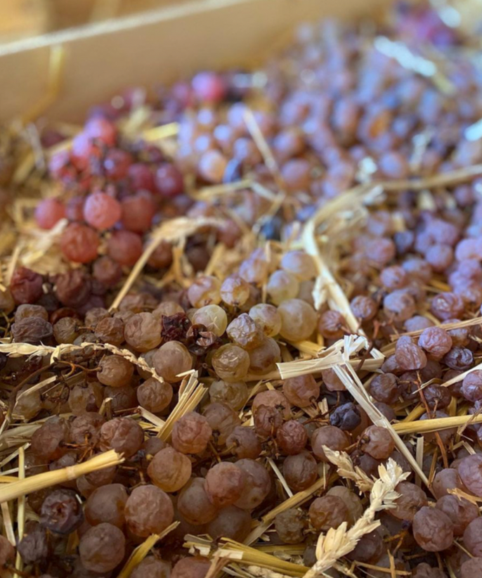 Les Vignes de Paradis