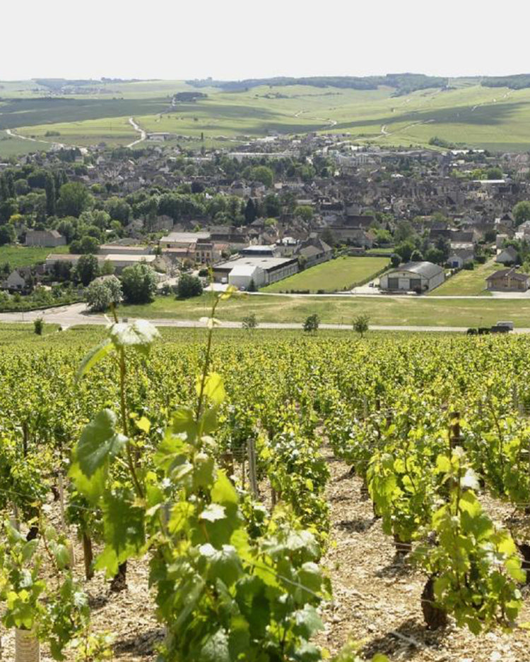 Eleni & Edouard Vocoret