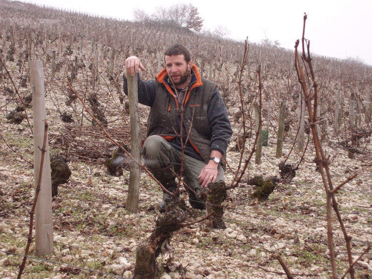 Gerard et Pierre Morin