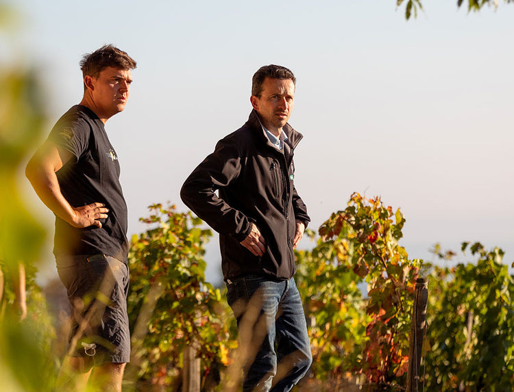 Domaine Henri Gouges