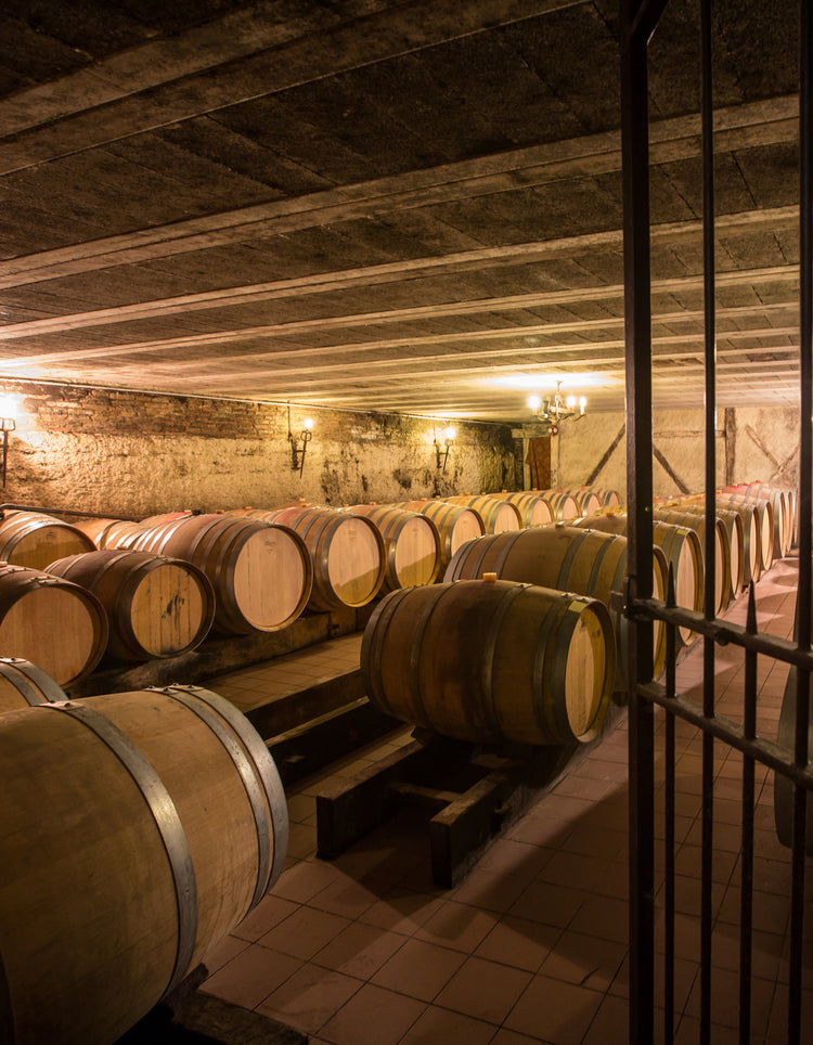 Chateau Clement-Termes