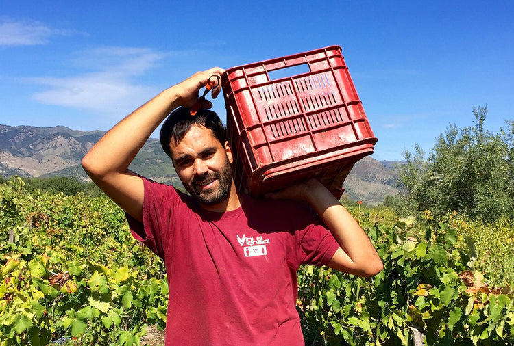 Eduardo Torres Acosta