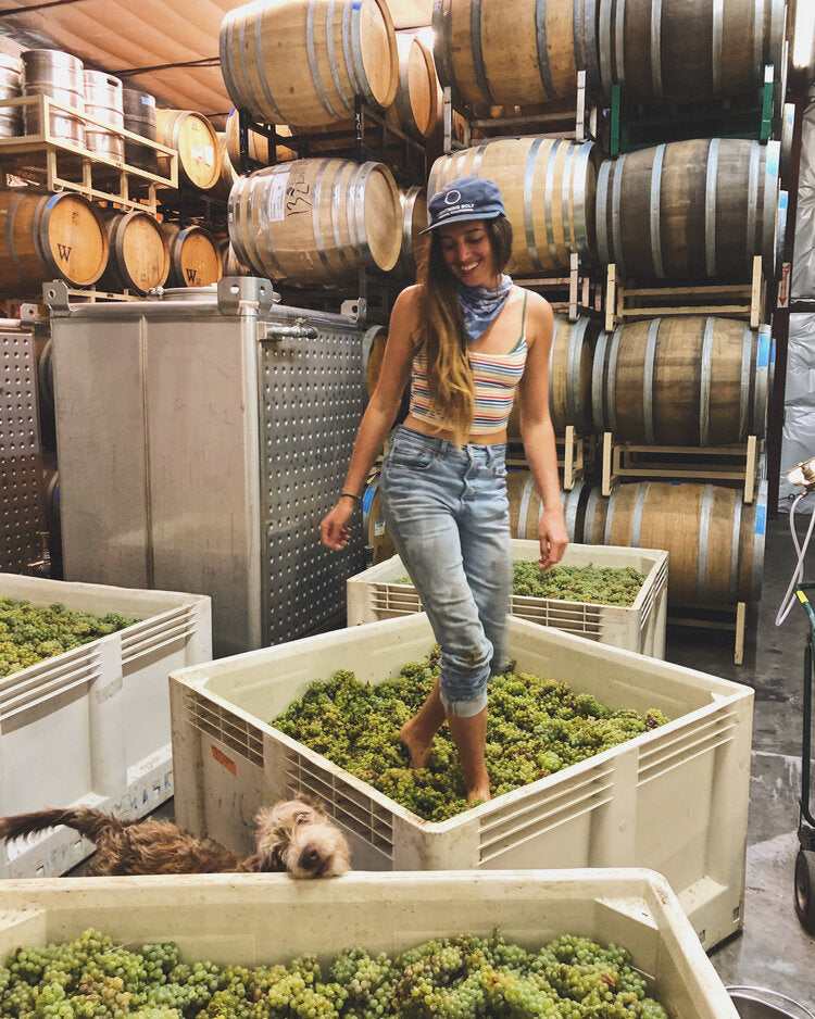 Lady of the Sunshine