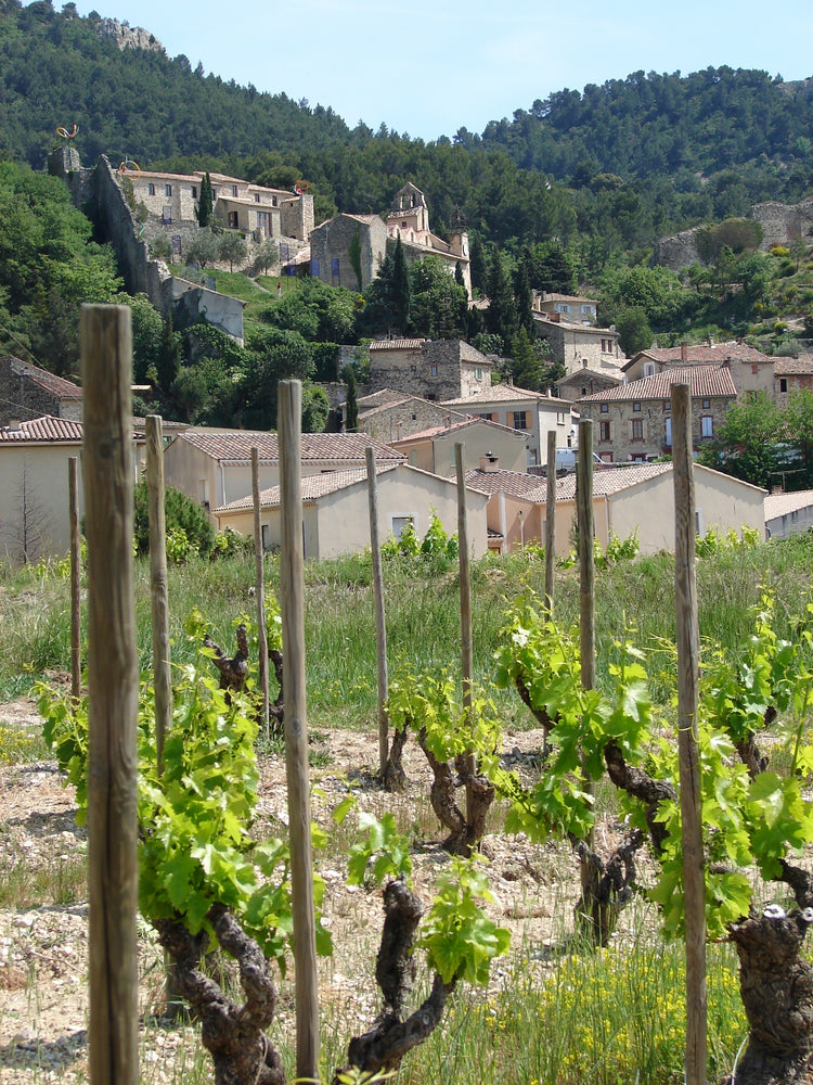 Chateau de Saint Cosme