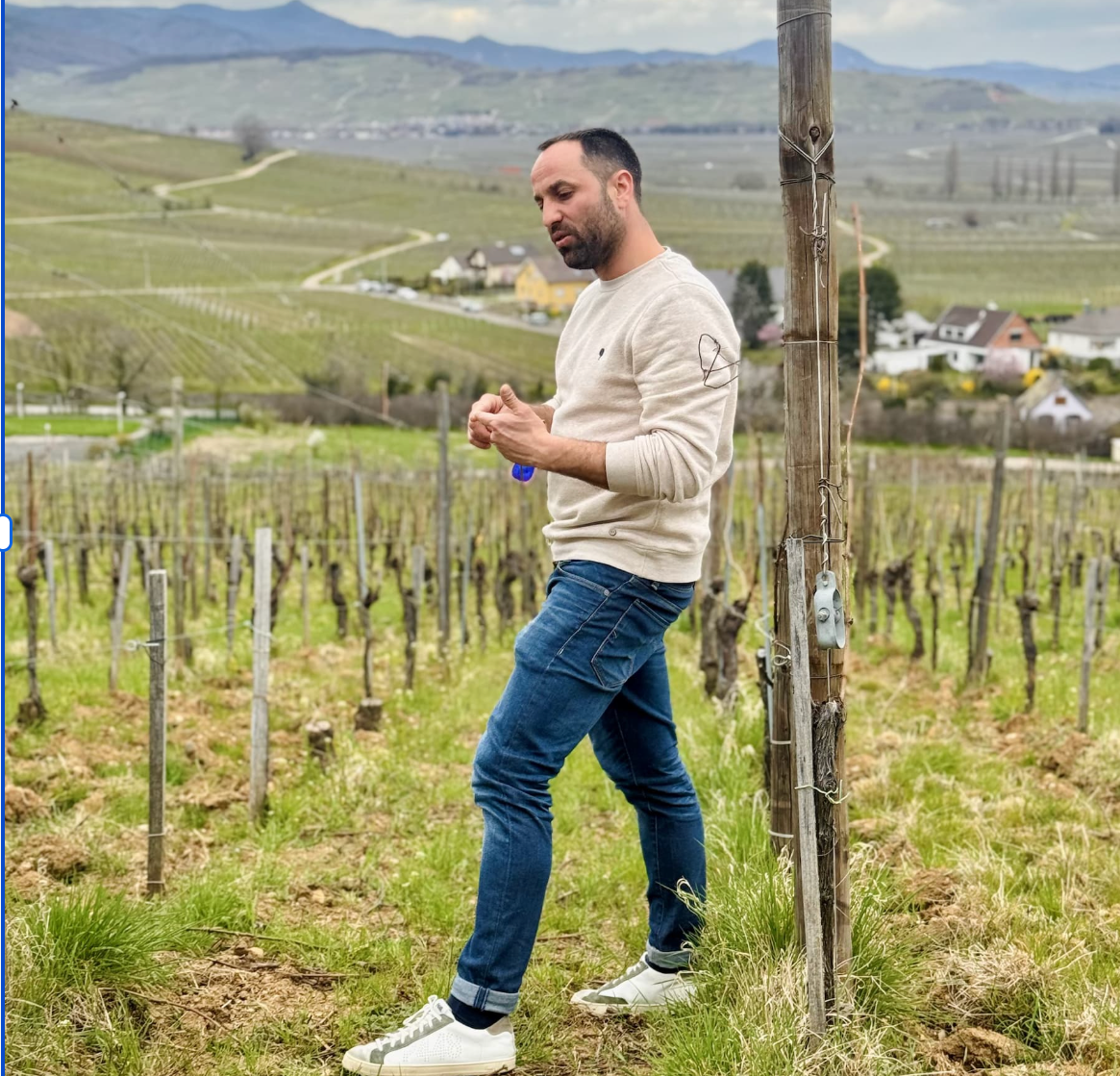 An Evening with Domaine Mann