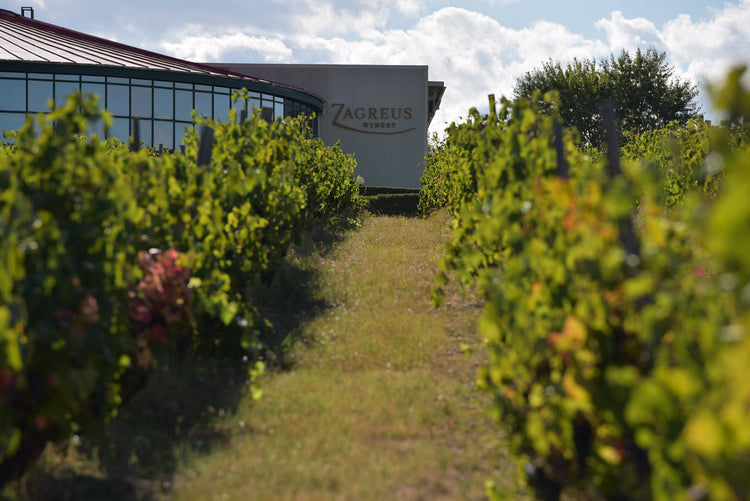 At the Table with Zagreus Winery