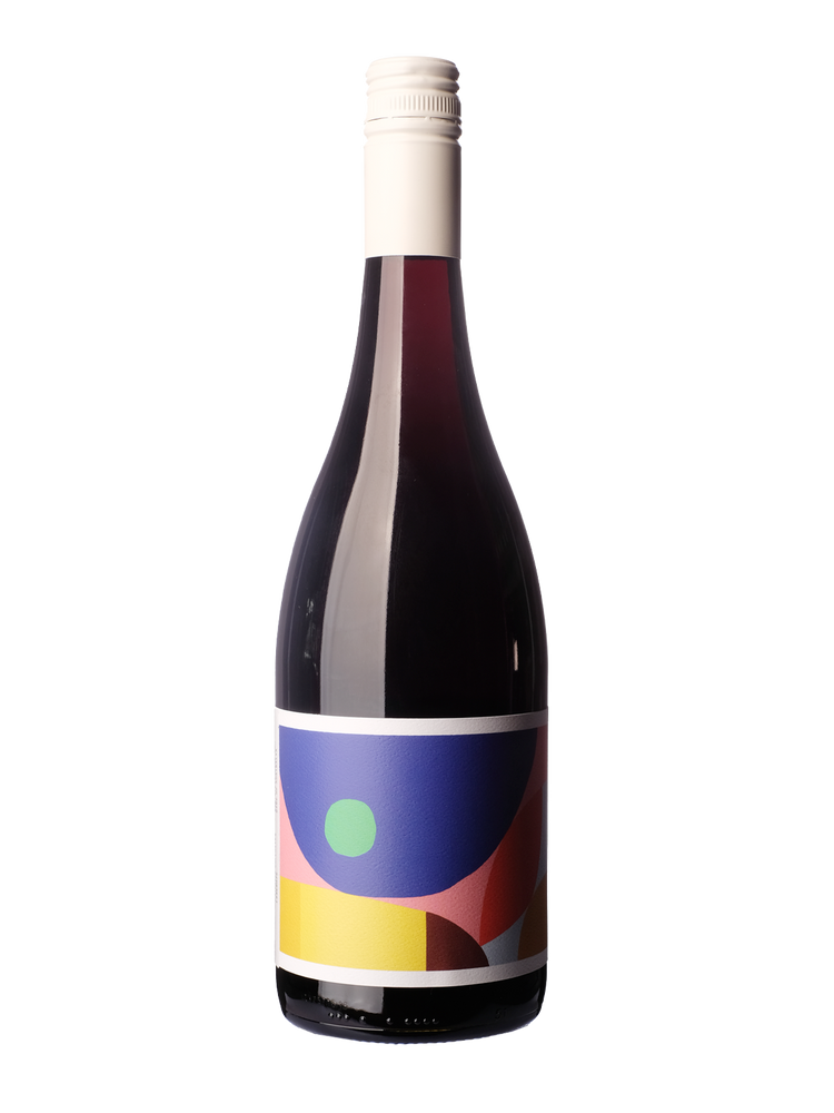 Alkina, Shiraz, 2023