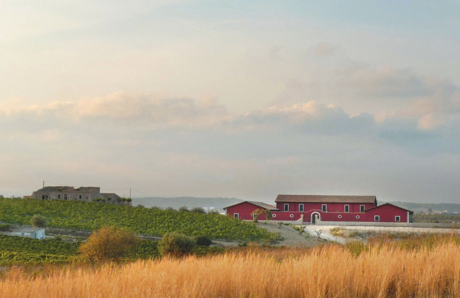 An Evening with Marabino