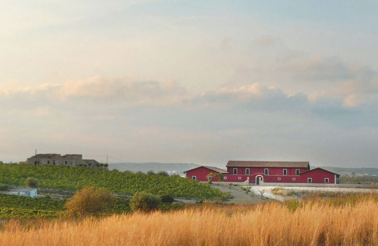 An Evening with Marabino