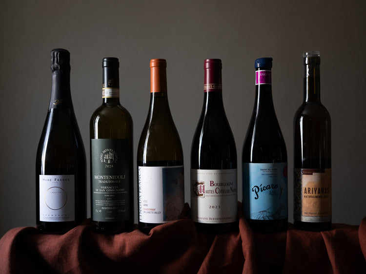 The Sommelier Six