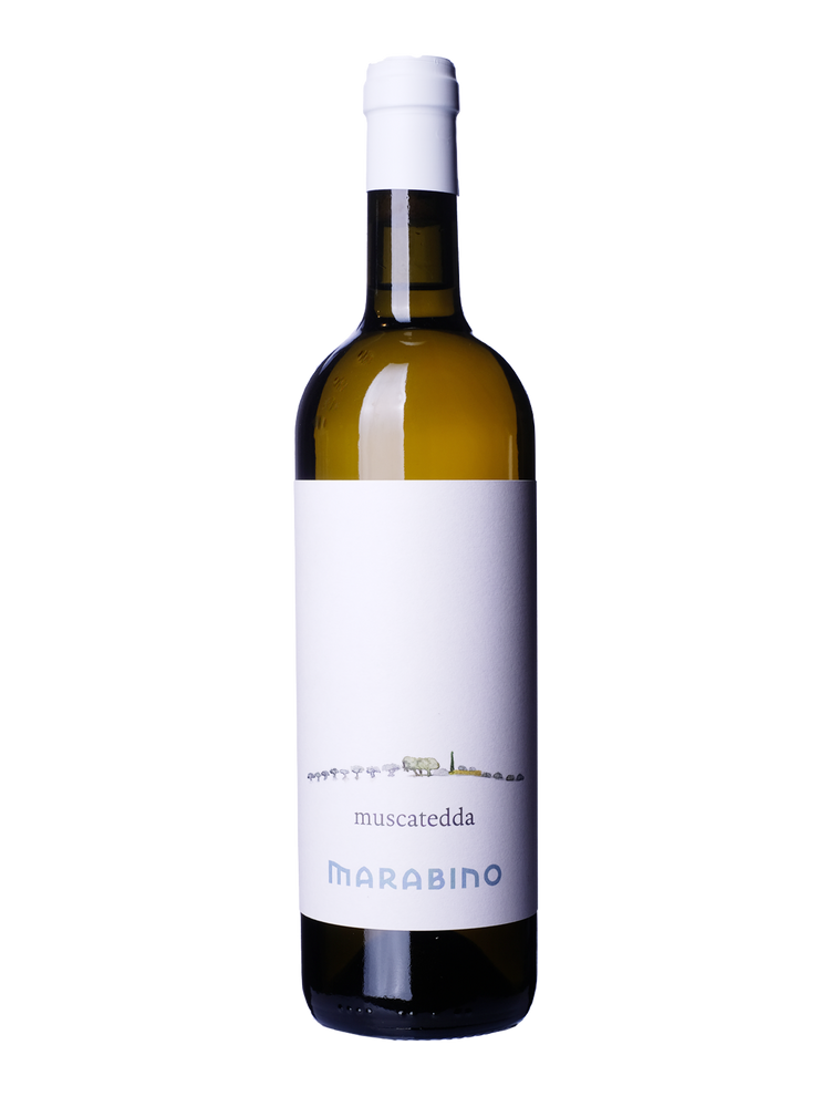Marabino, Muscatedda, 2024