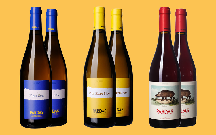 Celler Pardas, Discovery Case