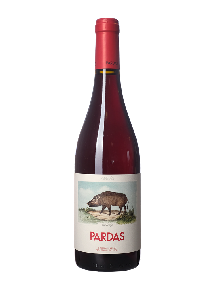 Celler Pardas, Sus Scrofa, 2024