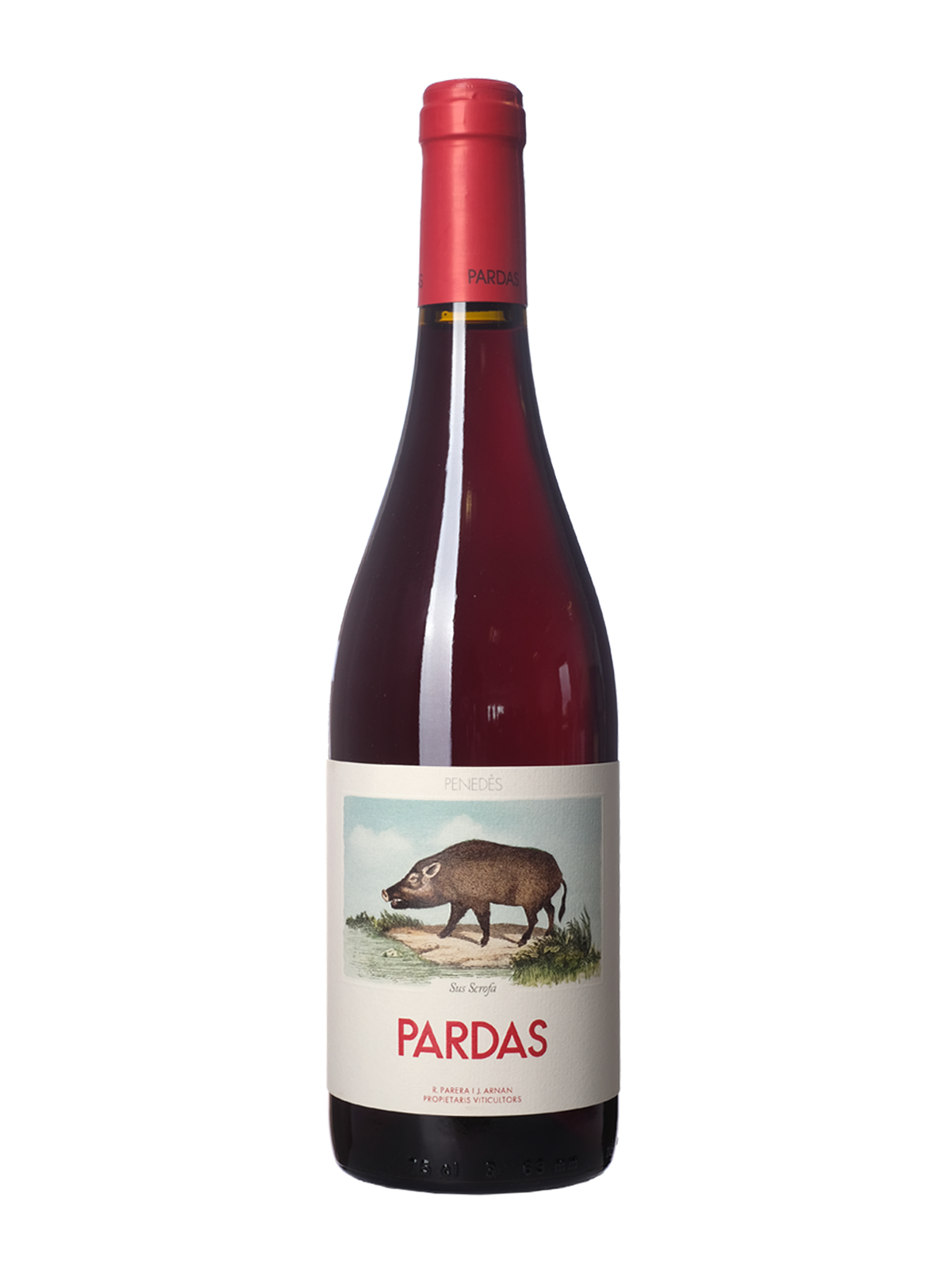 Celler Pardas, Sus Scrofa, 2021 – The Sourcing Table