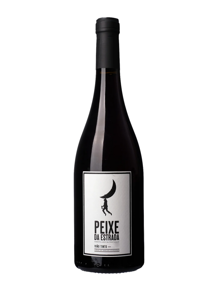peixe_estrada_32bedc22-ae52-4497-9a18-4dcf2a4611b3.png